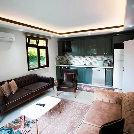 Secluded Villa With Private Pool In Sapanca Villa *