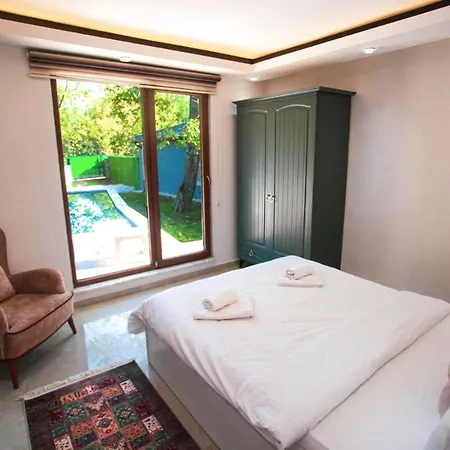 Secluded Villa With Private Pool In Sapanca Villa