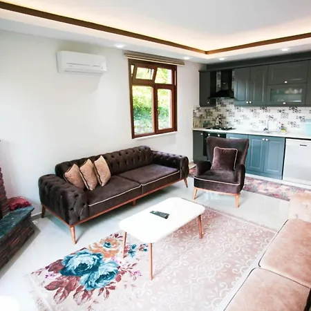 Secluded Villa With Private Pool In Sapanca Villa Yanık